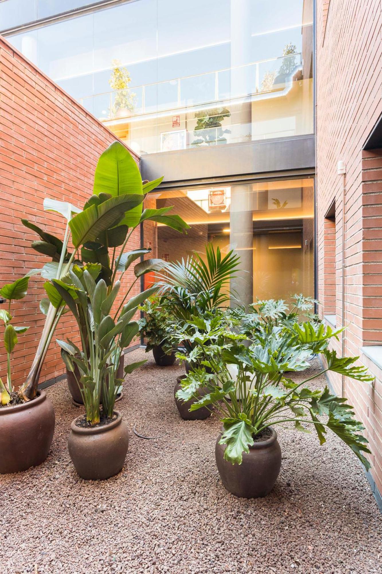 Hotel Terrassa Confort Ngoại thất bức ảnh